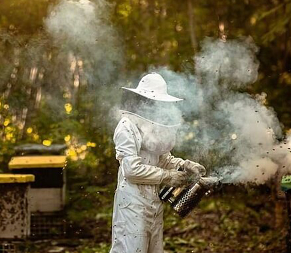 Best Cozumel excursions